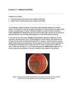 Microbiology - Exercise 2.3 : Isolation Streak Plate